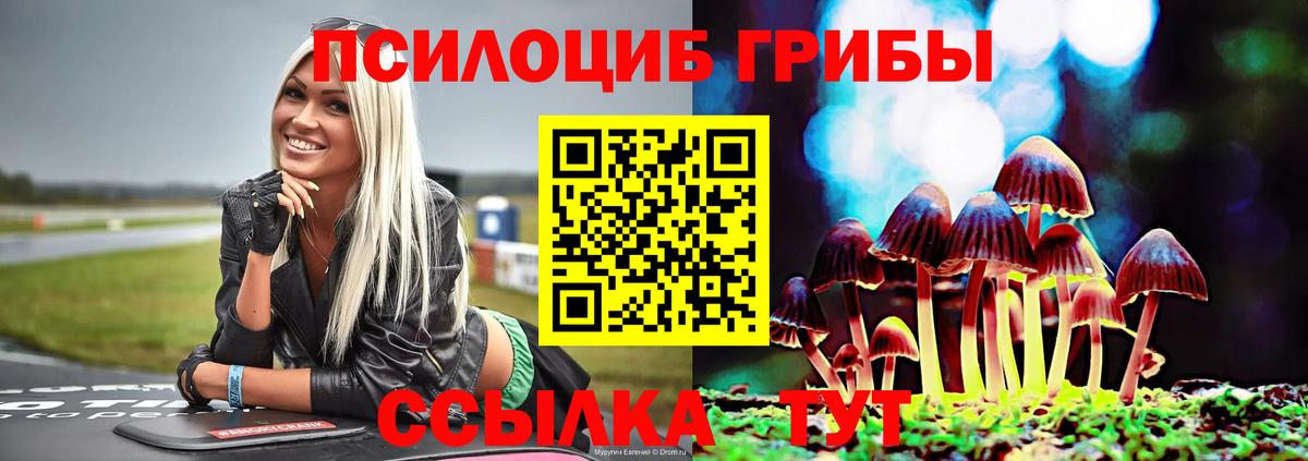 Сафоново  закладки  Вход с VPN  Псилоцибиновые грибы MAGIC MUSHROOMS 